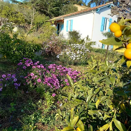 Holiday home Maison 4 Face A La Grand Jardin Ideal Famille Avec Pluri Animaux Saint Clair Le Lavandou