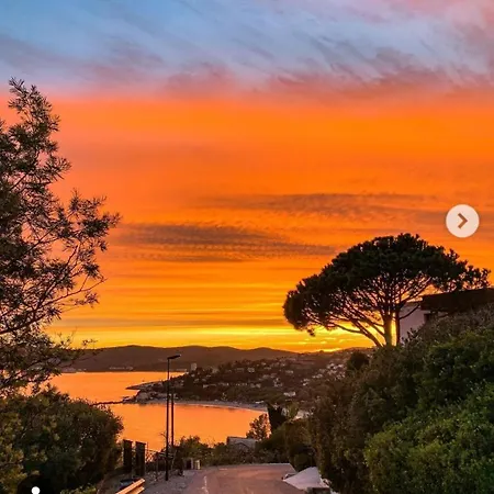 Maison 4 Face A La Grand Jardin Ideal Famille Avec Pluri Animaux Saint Clair Le Lavandou